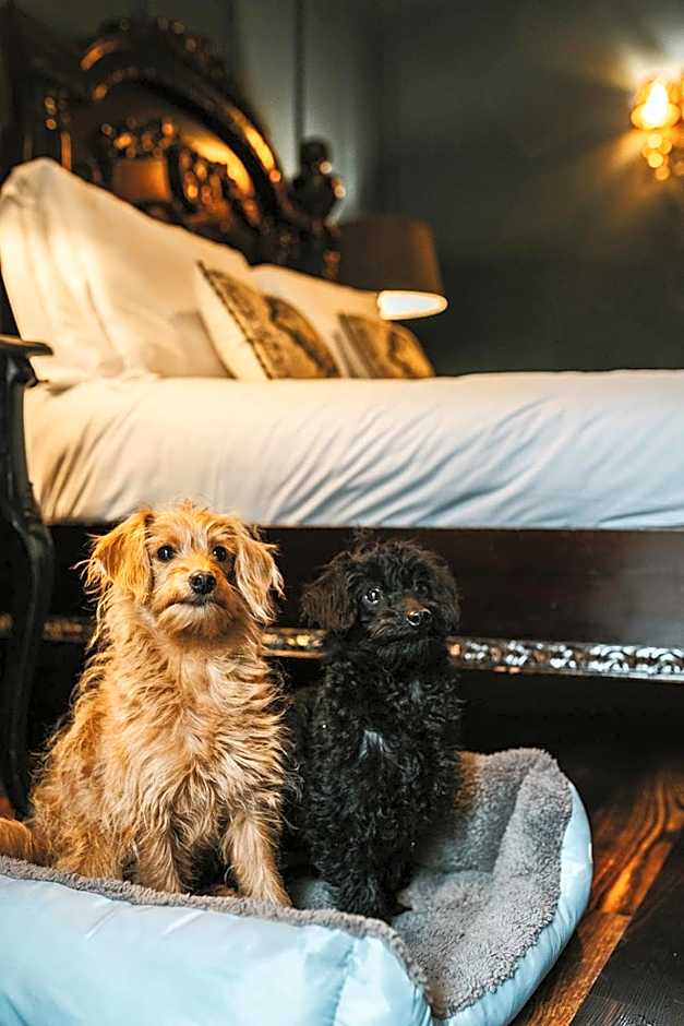 Le Petit Chateau & William de Percy