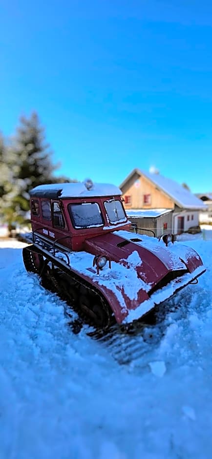 Hotel Harrachov Inn