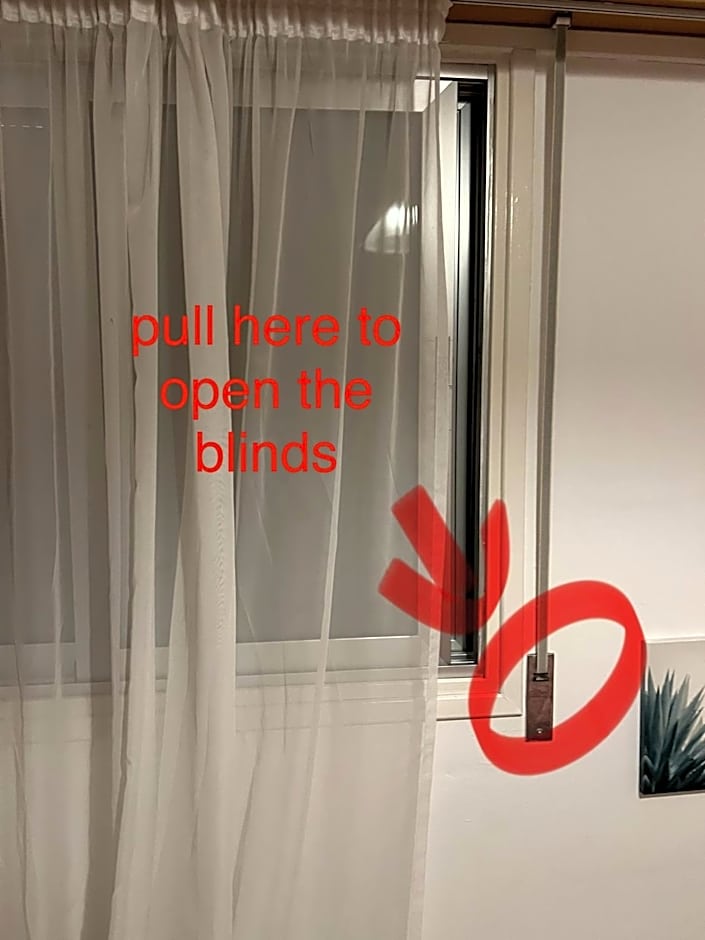 Makenzie 2 rooms first line beach