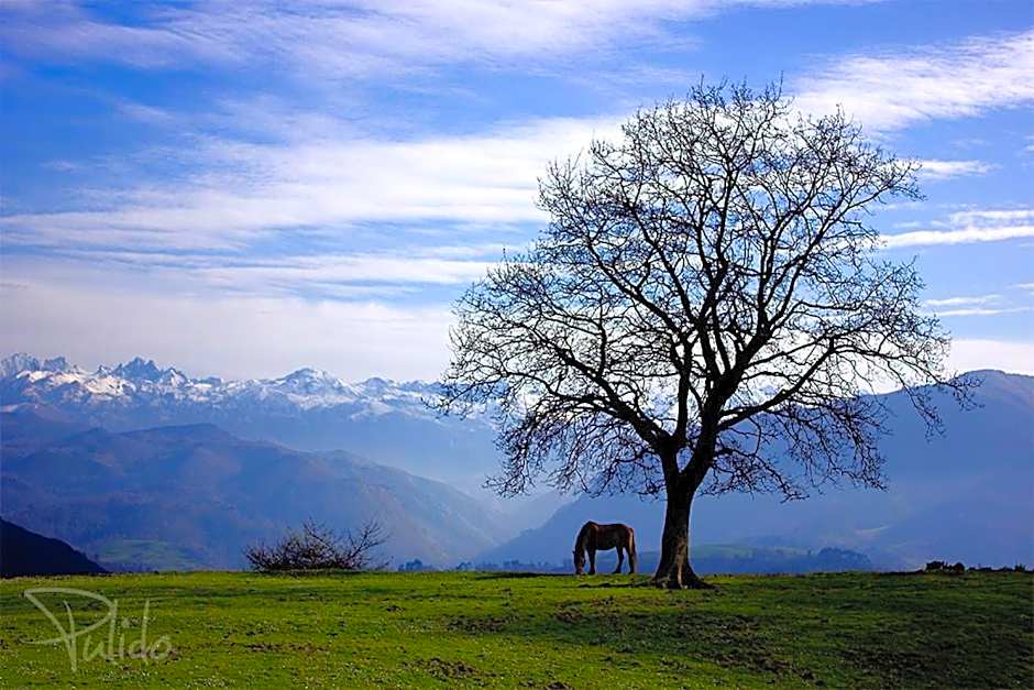 La Montaña Mágica Hotel Rural