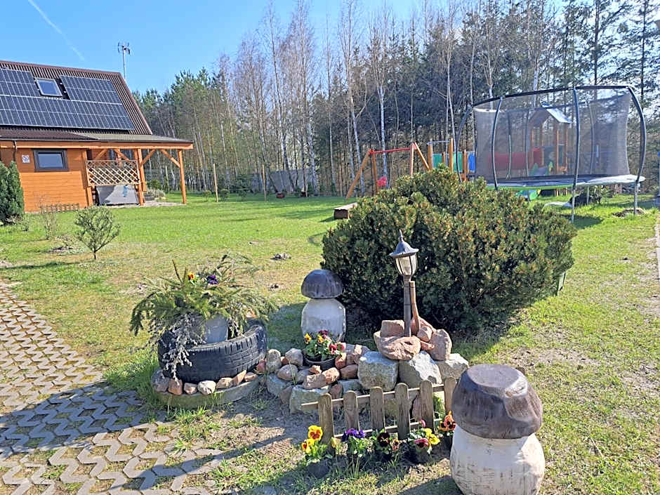 Domki Borowiackie nad brzegiem jeziora