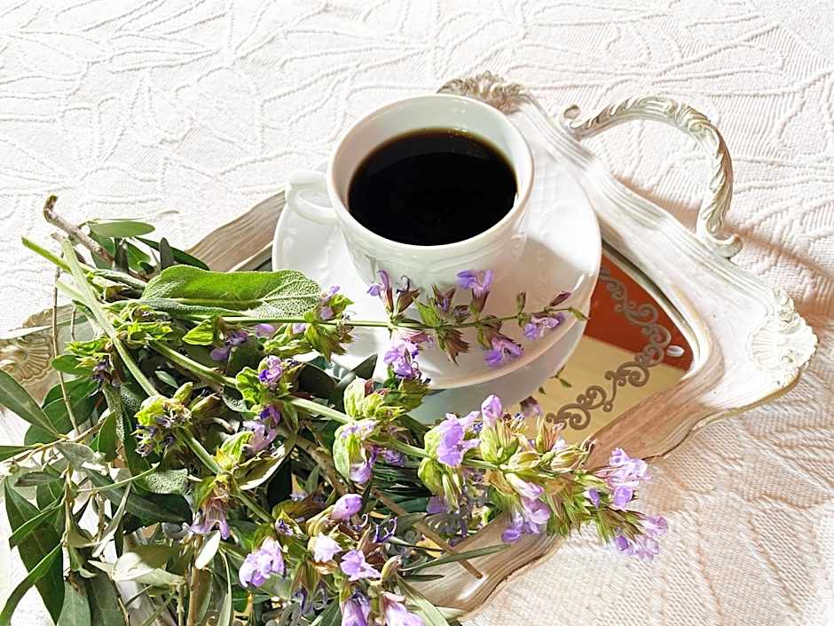 Archontika Karamarlis