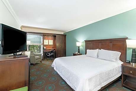 1 King Bed Nonsmoking