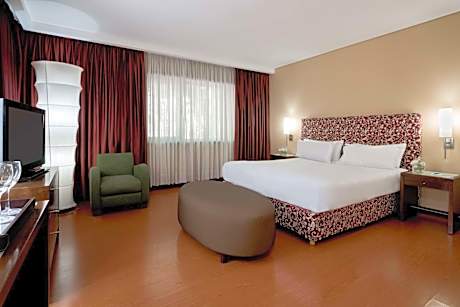 NH Mendoza Cordillera