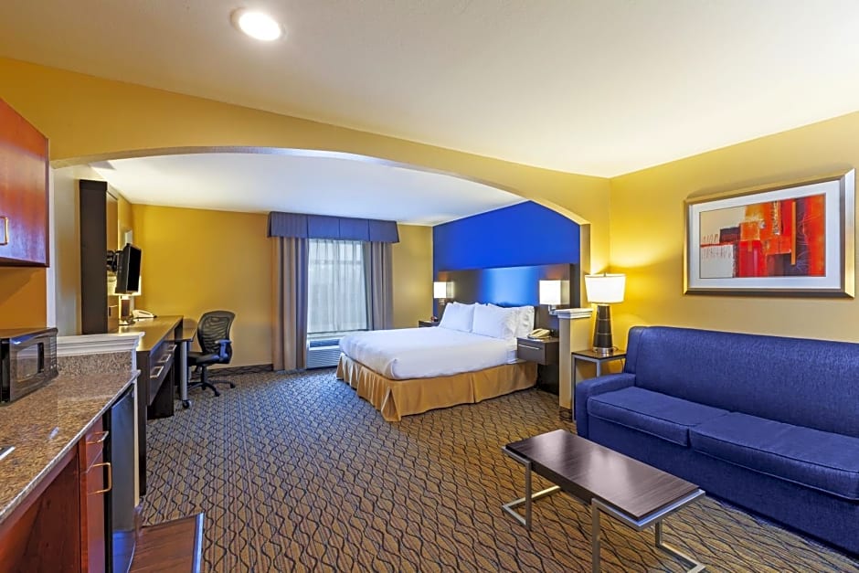 Holiday Inn Express Hotel & Suites Houston-Downtown Convention Center