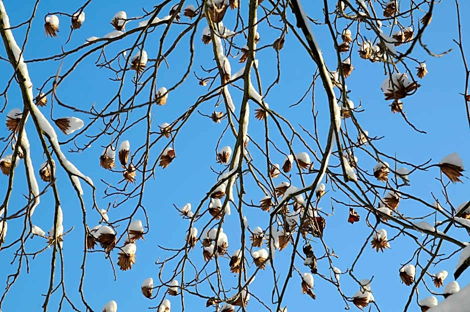 Geinberg Suites & Via Nova Lodges