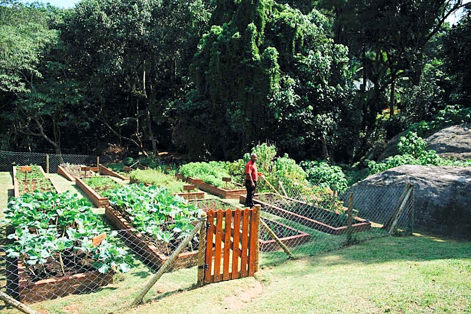 Almenat Embu das Artes Sao Paulo, Tapestry Collection