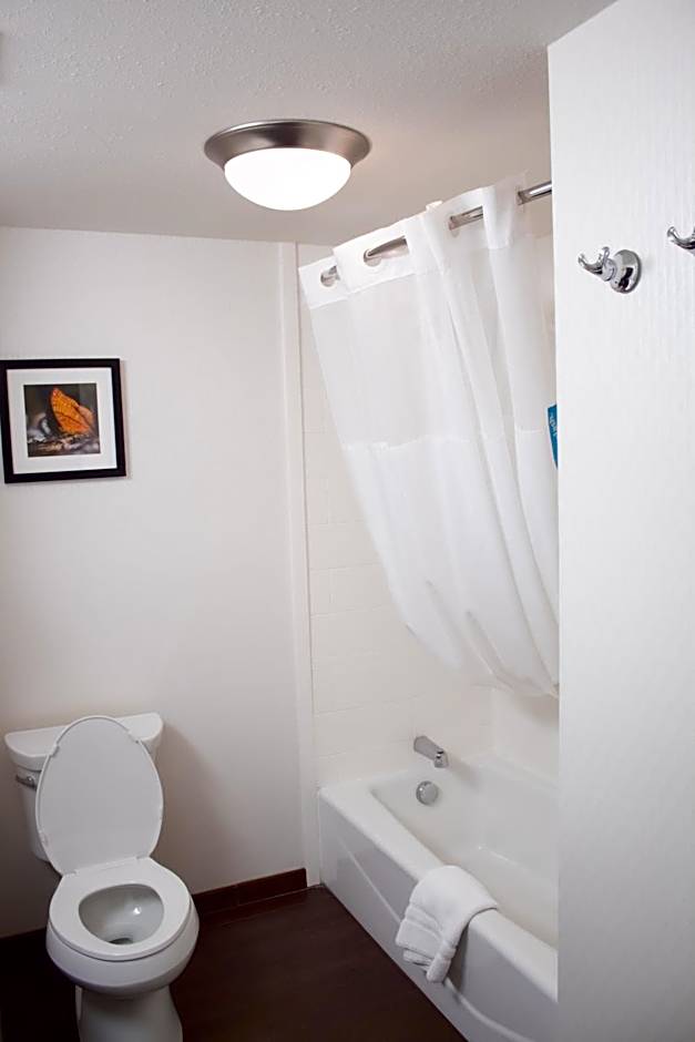 Hampton Inn By Hilton & Suites Big Rapids, Mi