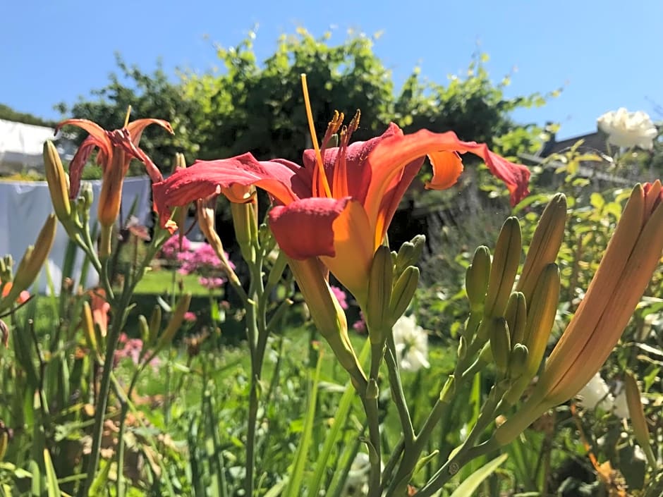 Rie's Retreat- The Gold Room