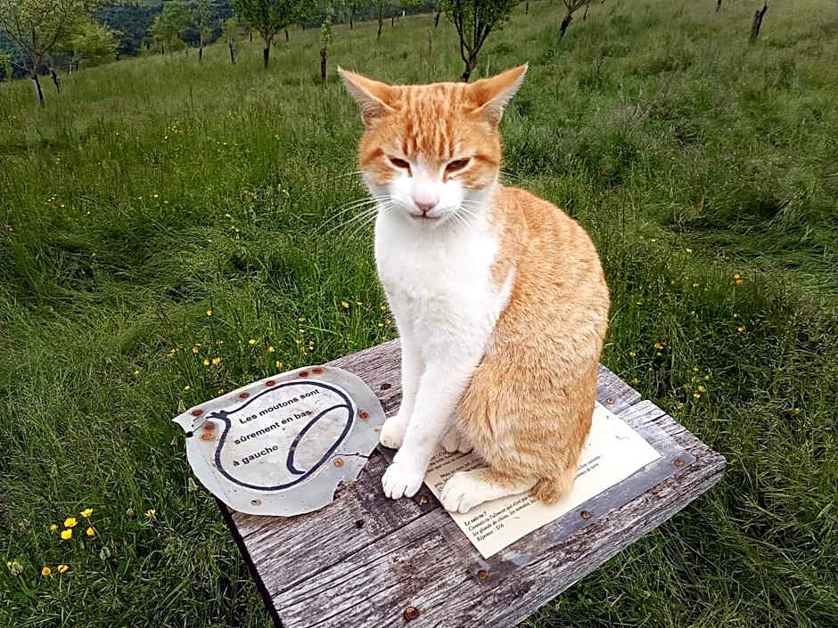La ferme des Cévennes