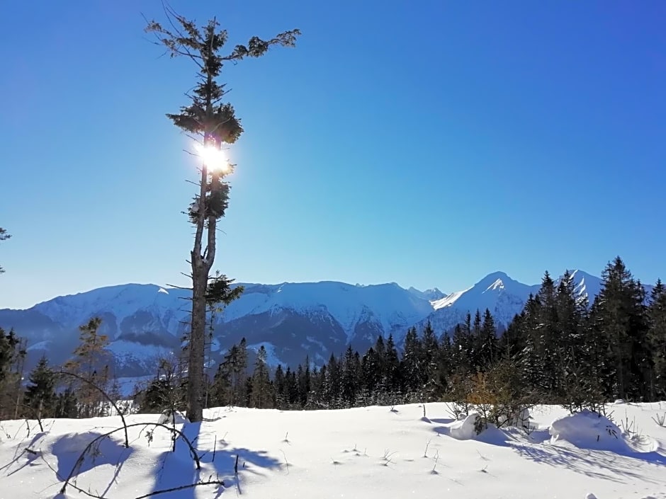 Chalúpka u Babičky