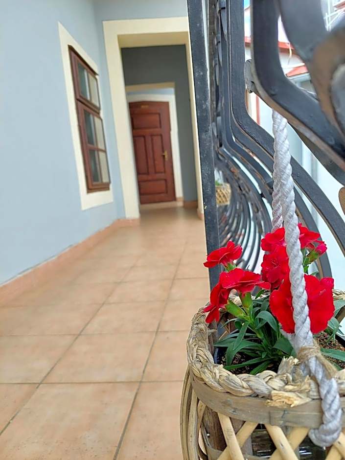 Hotel Salamander - Garni