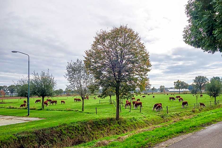 Boertel Lamperse Hei