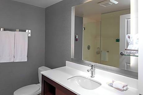 Suite, 1 Bedroom (2 Queen Beds and 1 Double Sofa Bed)