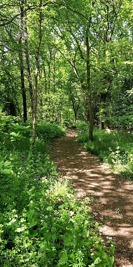 Pinfield Boutique Hotel