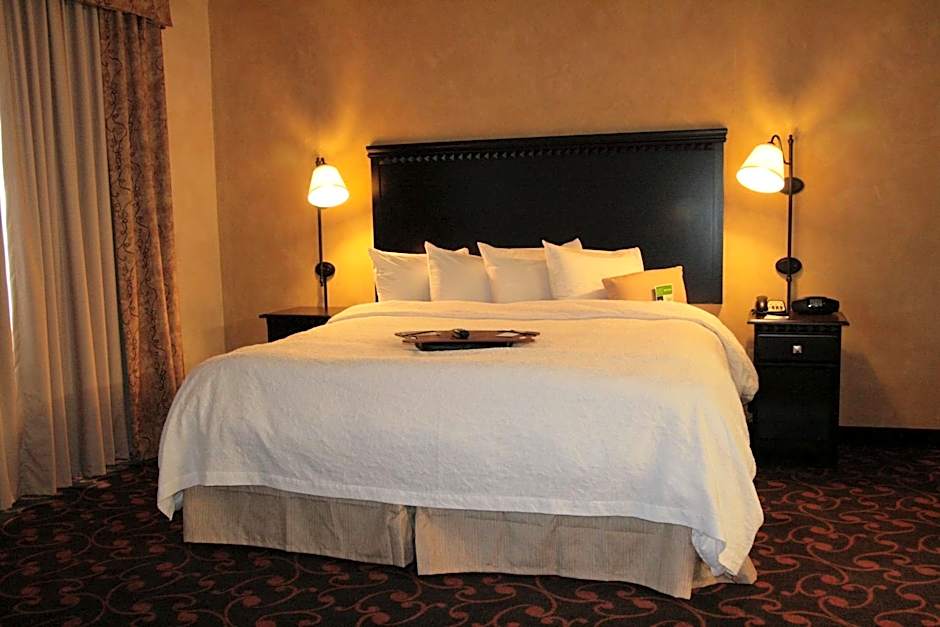 Hampton Inn By Hilton & Suites Dallas-Arlington North-Entertainment Dist.