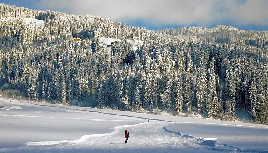 Vital & Sporthotel Brixen