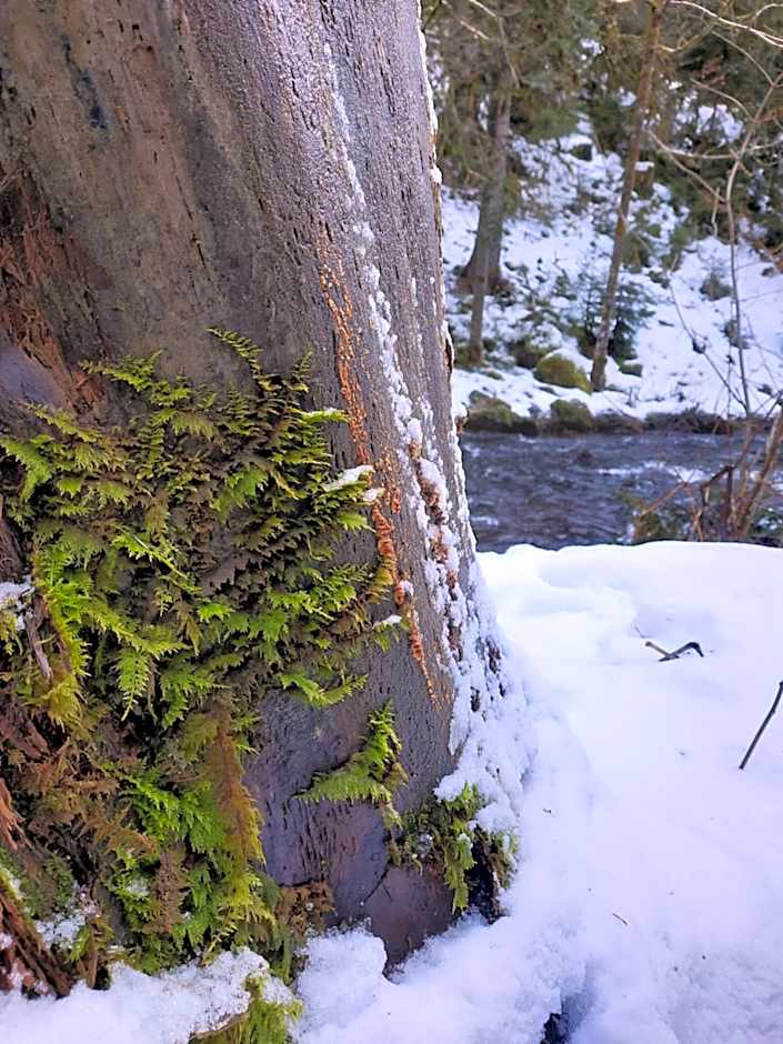 Au Cœur des Lacs - Chambres d'hôtes