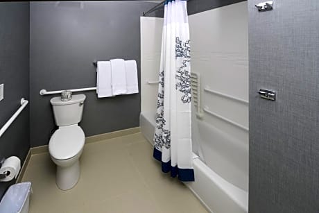 Suite, 2 Bedrooms (1 King Bed)