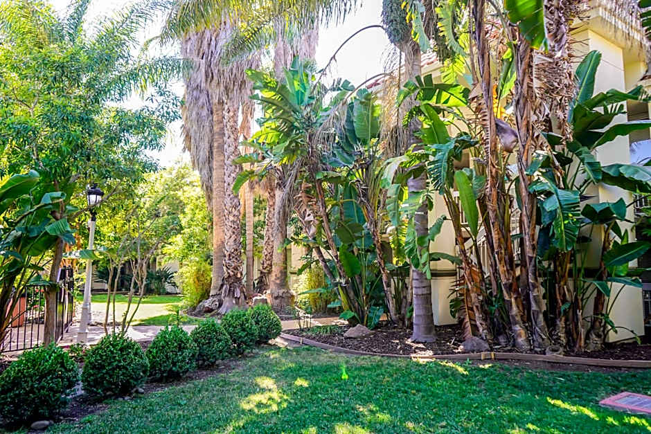 Uptown Oasis San Jose Airport