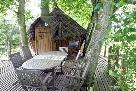 Family Tree House (6 People)