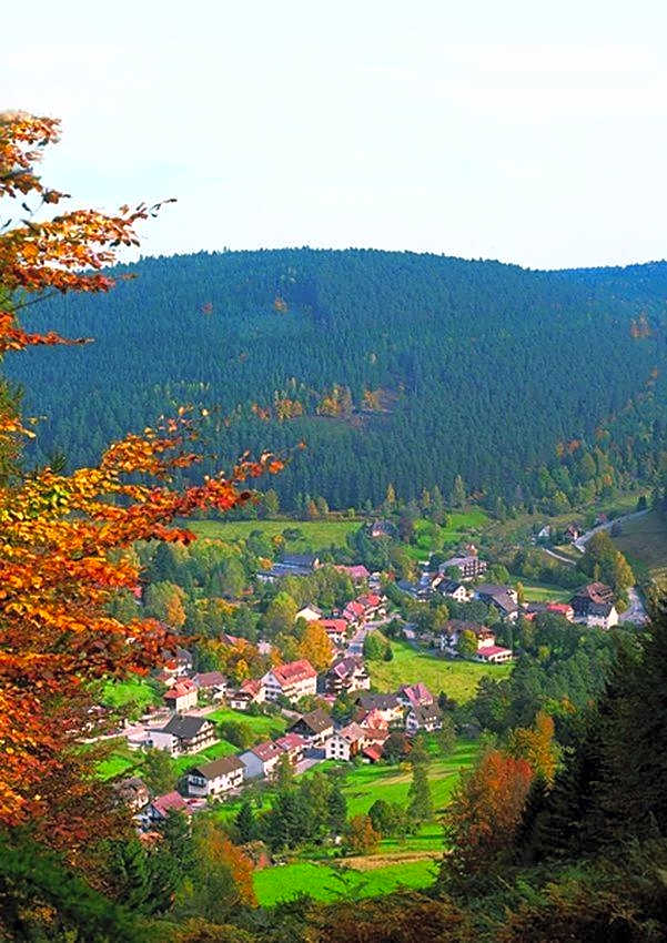 Hotel Schwarzwaldhof