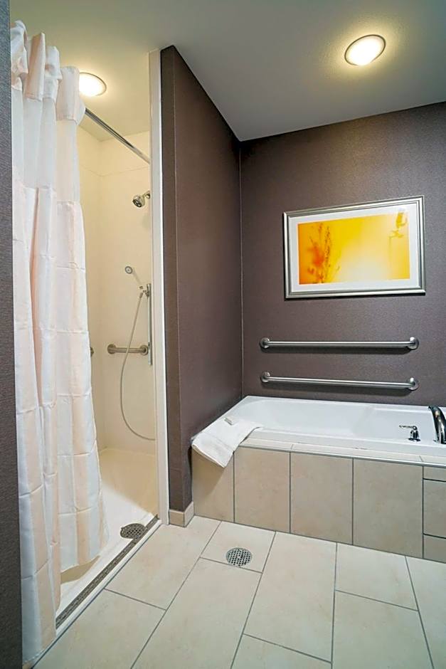 Hilton Garden Inn Sioux Falls Downtown