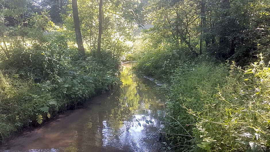 Agroturystyka Perła Gaju
