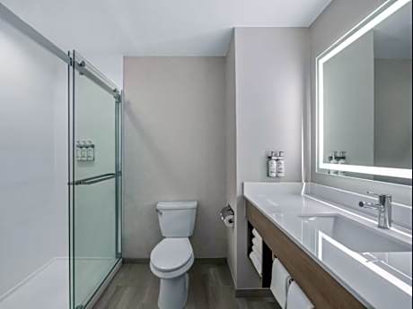 1 King Standard Sofa Bed