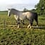 Bridleway Bed & Breakfast