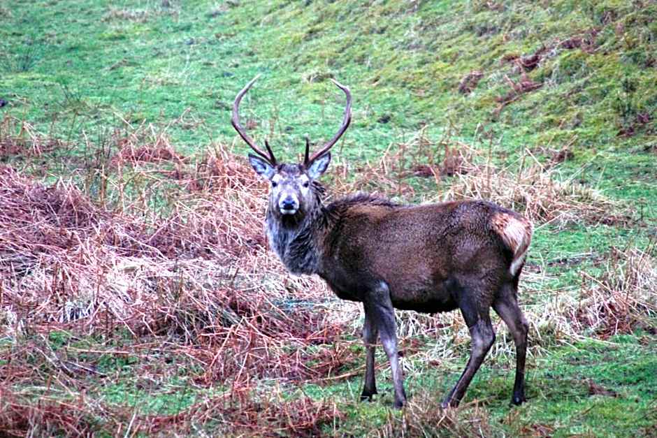 The Brander Lodge Hotel and Bistro