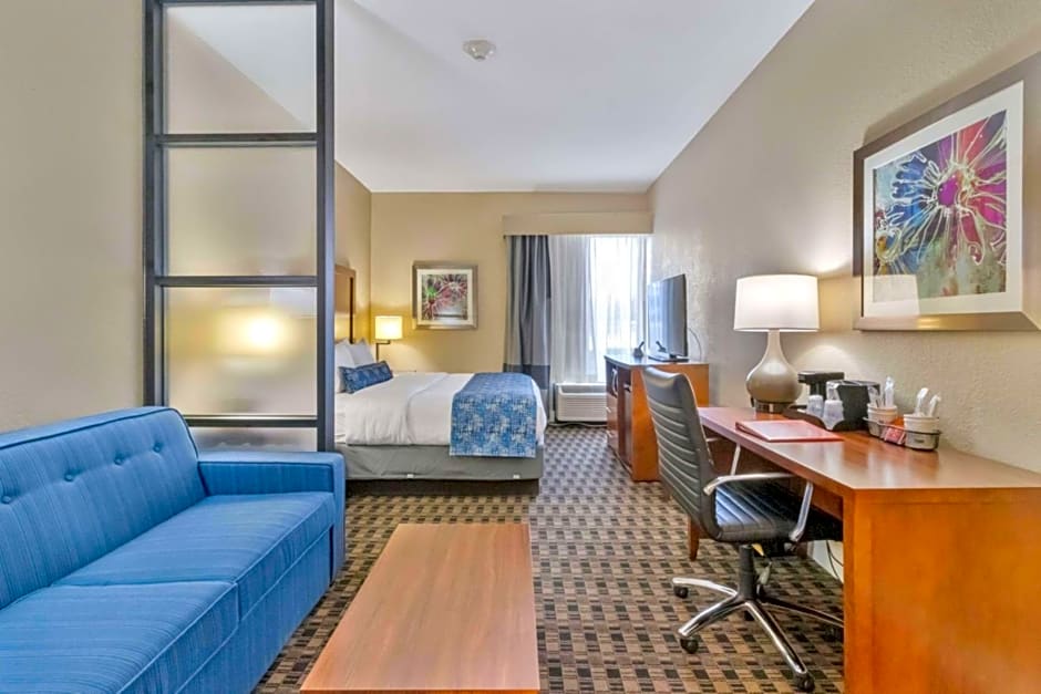 Best Western Plus Greenville I-385 Inn & Suites