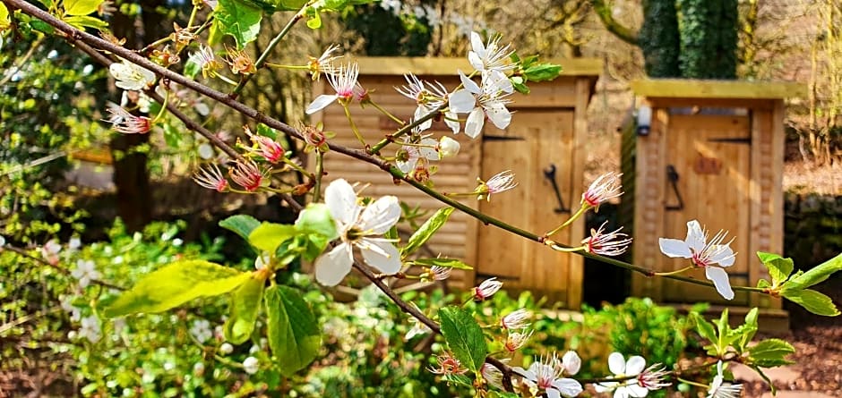 The Miners Log Cabin