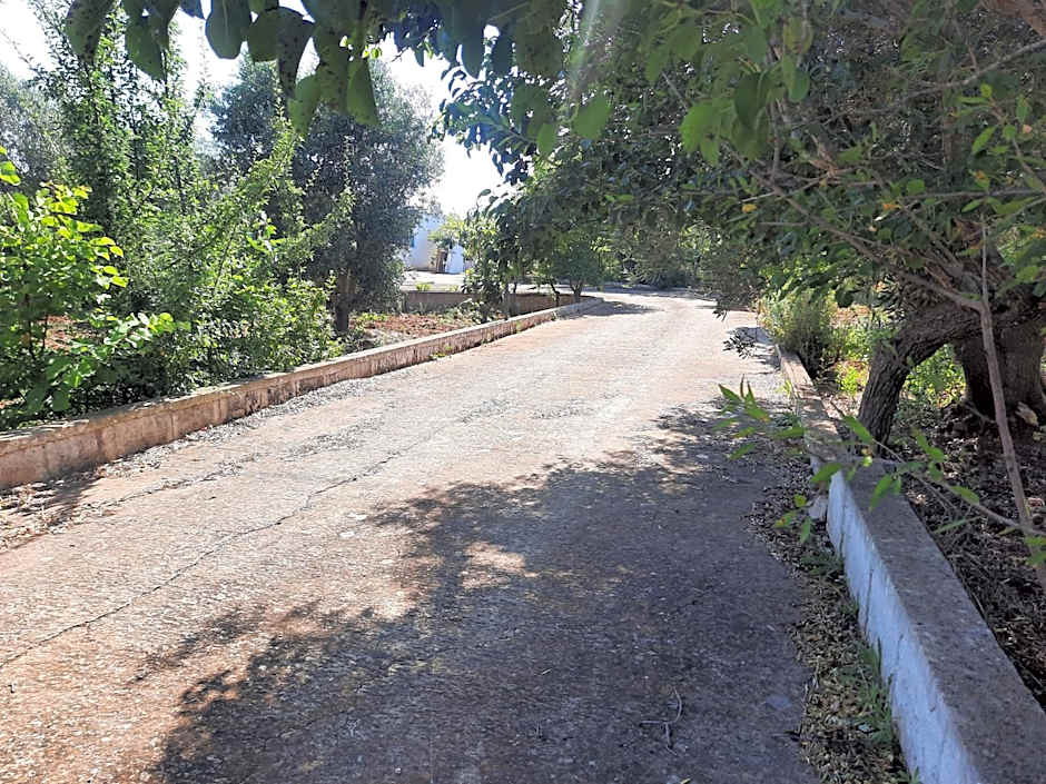 Casa Trullo Bianco: Casa Vicino