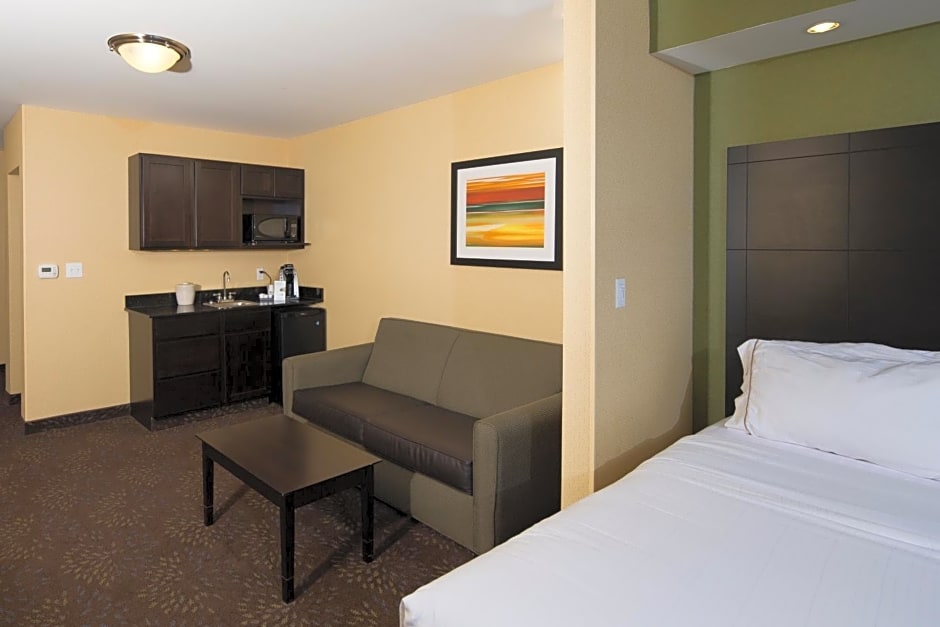 Holiday Inn Express And Suites Detroit North-Troy