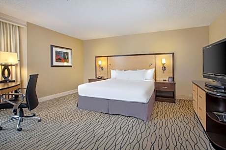 Junior King Suite with Seating Area