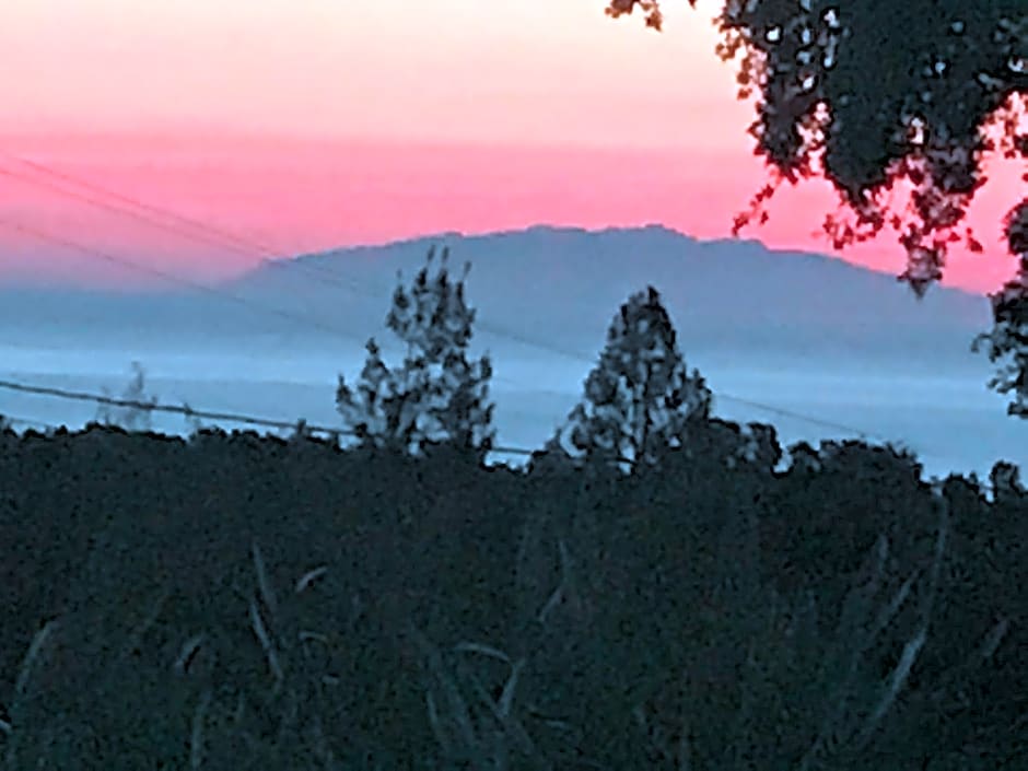 CHAMBRE HOTES CARPE DIEM