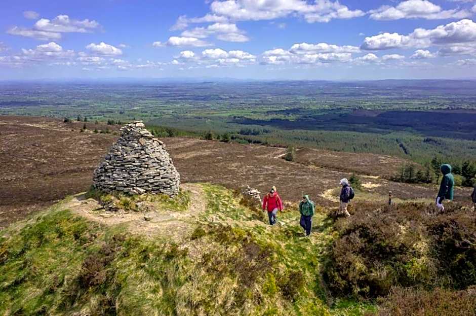 Maldron Hotel Portlaoise