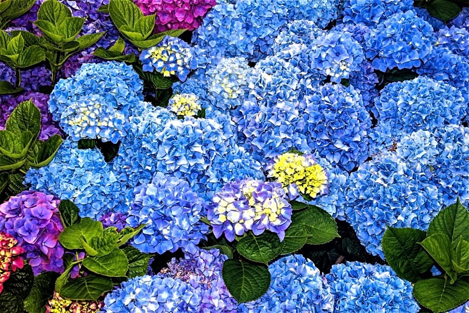 CASA INTI / INTI HOUSE FURNAS