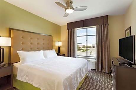 One-Bedroom King Suite - Non-Smoking