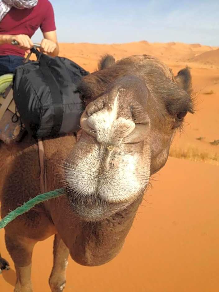Desert Camel Trekking Camp