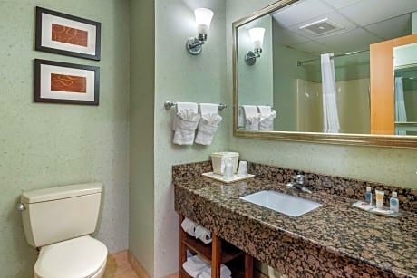 Deluxe King Suite - Non-Smoking