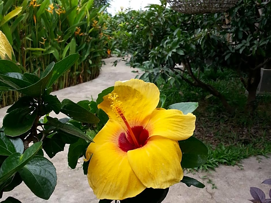 Bird of Paradise Bungalows