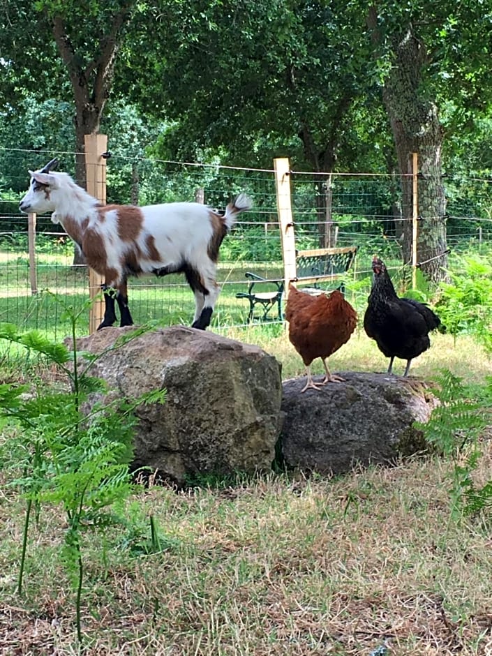 Les Fermes De Kercadoret – Belz, MN