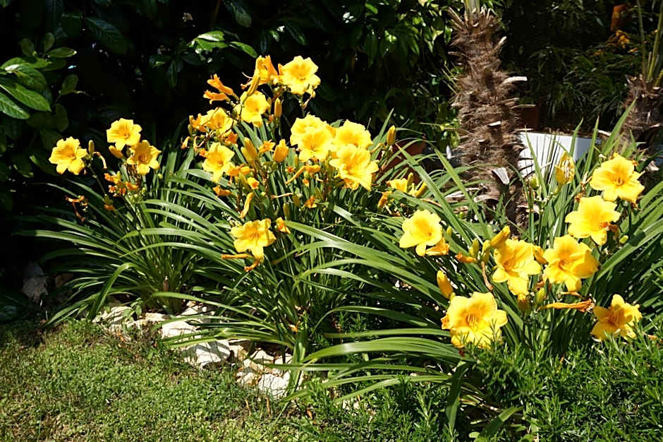 Residence Rivachiara (check-in at Hotel Riviera in Viale Rovereto, 95)