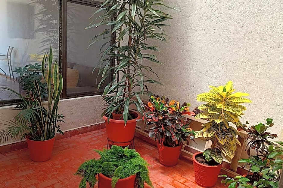 Rumbos Turísticos - casa hasta para 15 personas