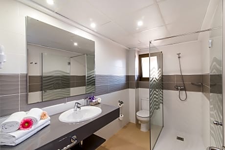 DOUBLE STANDAR ROOM AS SINGLE USE