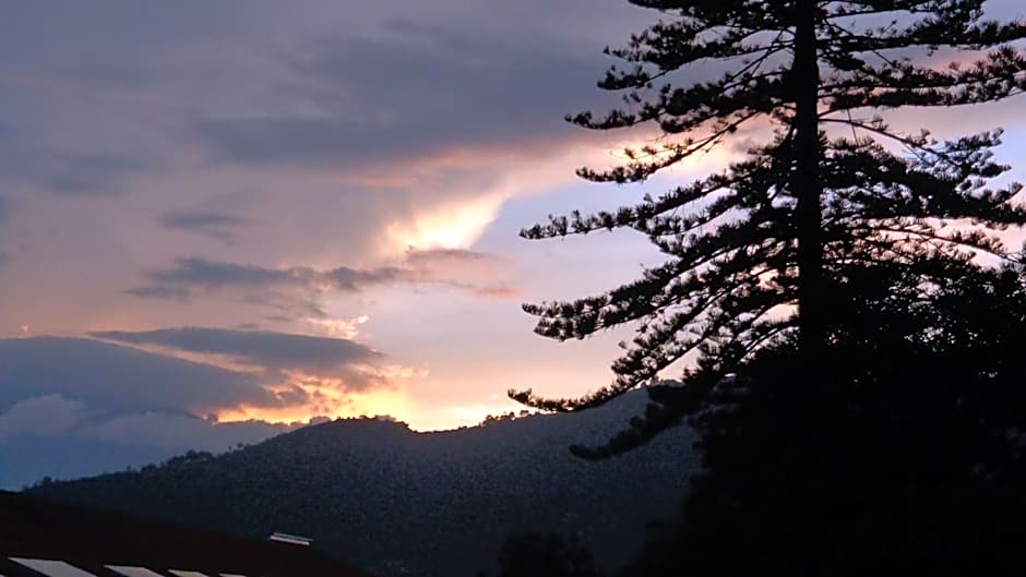 Hotel Las Camelias Inn by AHS