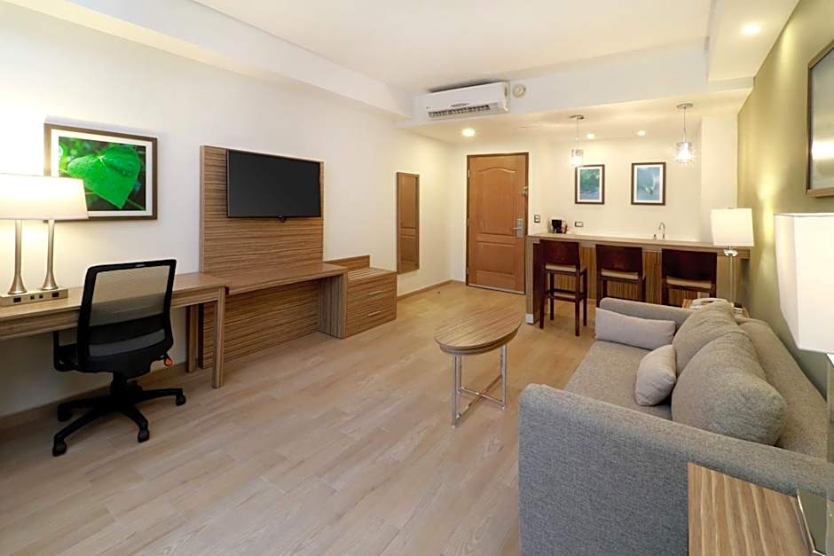 Wyndham Garden Monterrey Valle Real