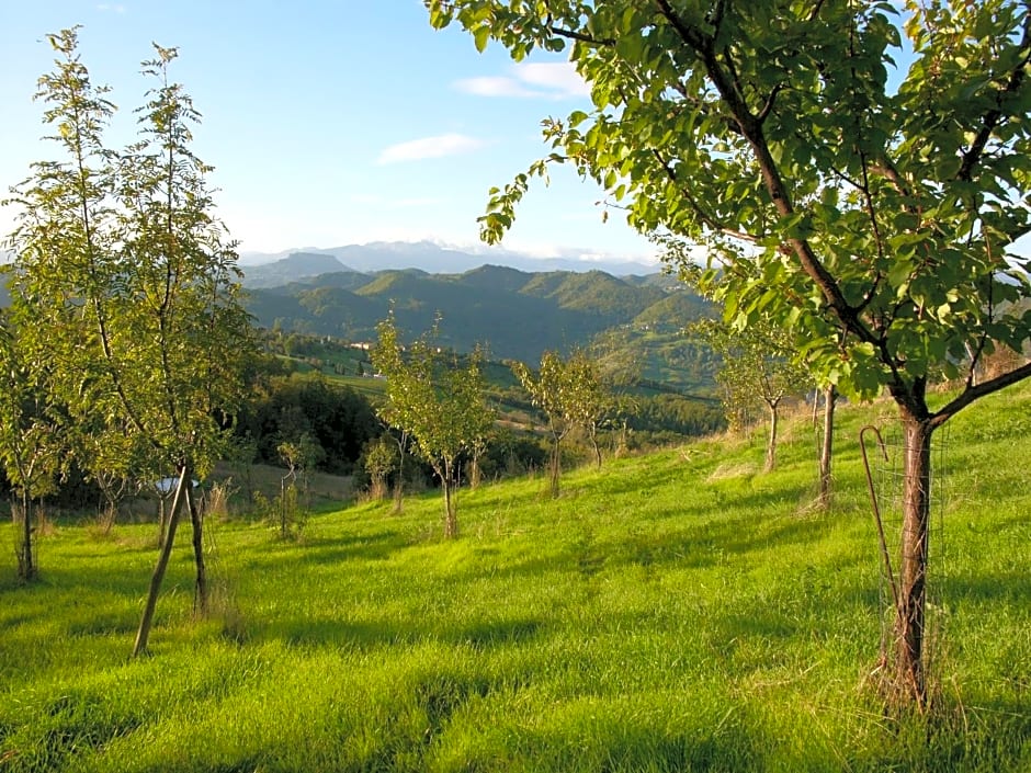 Chalet Il Bosco dei Mille Frutti